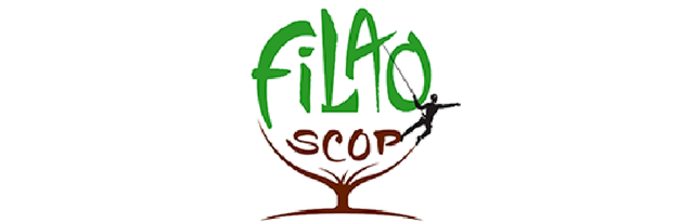 FILAO SCOP